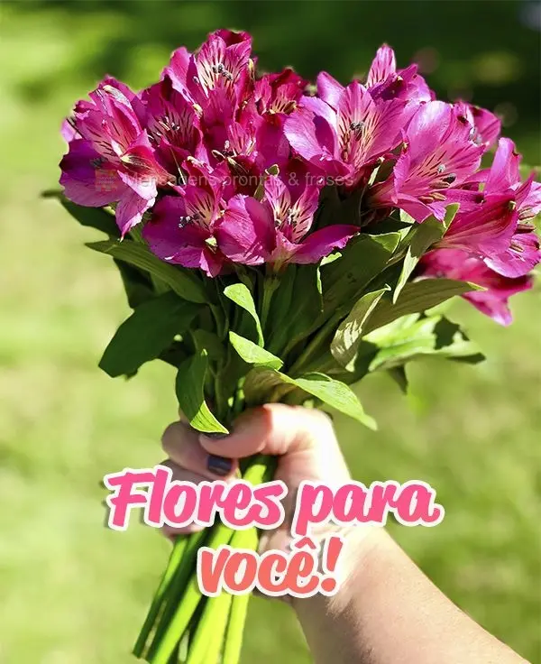 Flores para você!