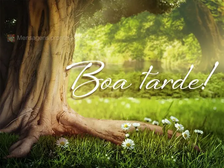 Boa tarde!