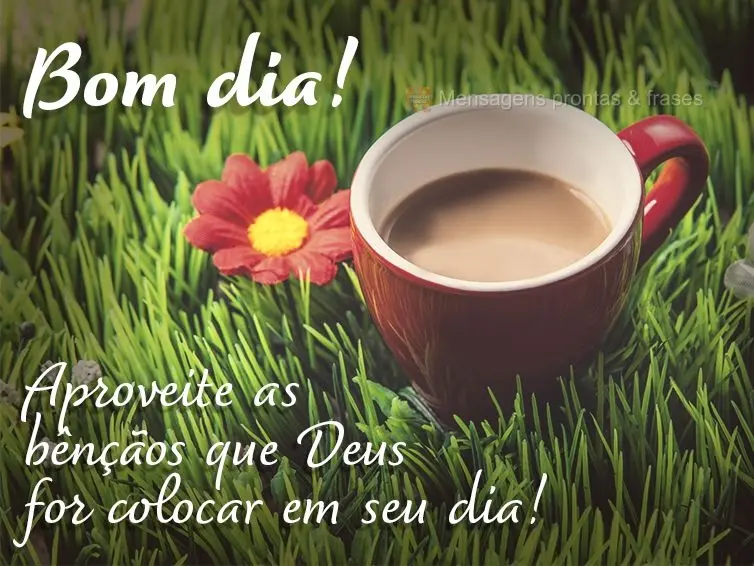 Aproveite as bênçãos que Deus for colocar em seu dia! Bom dia! 