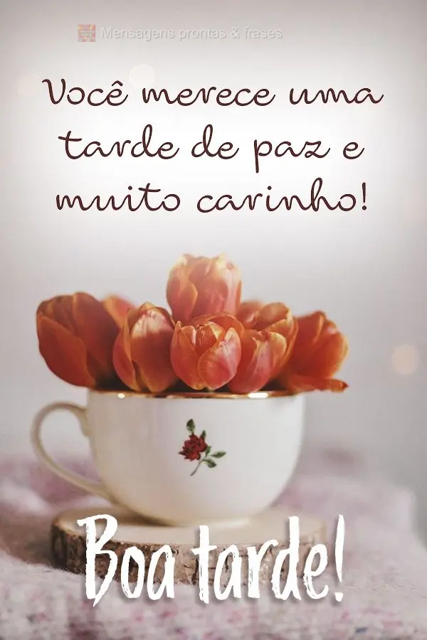 Você merece uma tarde de paz e muito carinho! Boa tarde! 