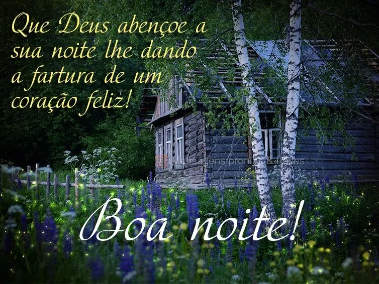 Que Deus abençoe a sua noite lhe dando a fartura de um coração feliz! Boa noite! 