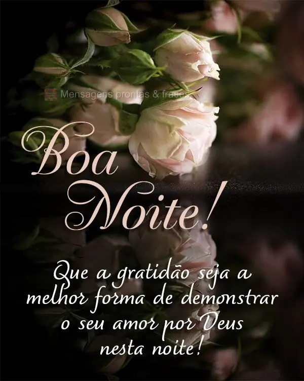 Que a gratidão seja a melhor forma de demonstrar o seu amor por Deus nesta noite! Boa noite! 