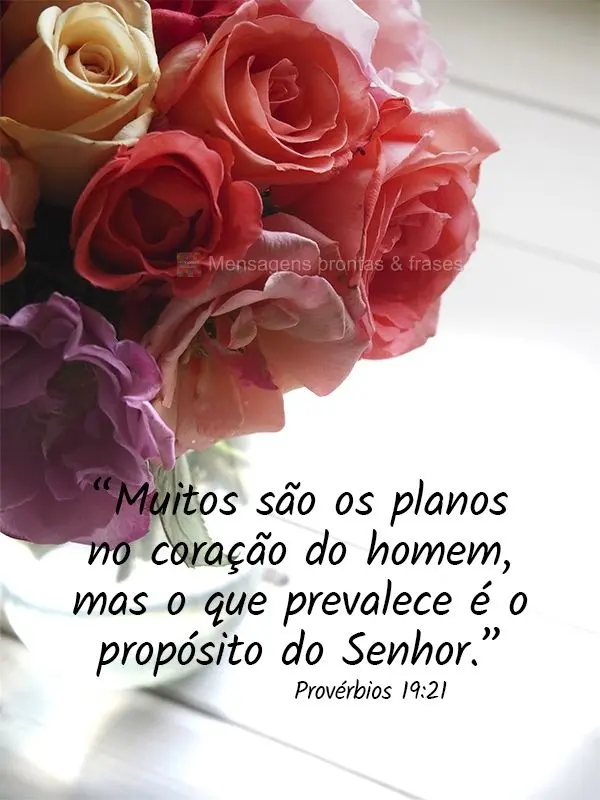 “Muitos são os planos no coração do homem, mas o que prevalece é o propósito do Senhor."  Provérbios 19:21