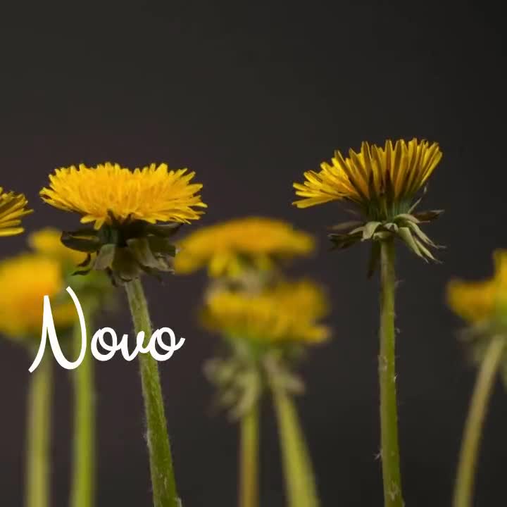 Novo mês se inicia...
Que seja abençoado por Deus, repleto de amor, felicidade e saúde! 
Que seja um mês de alegrias, recomeços e conquistas! 
Qu...