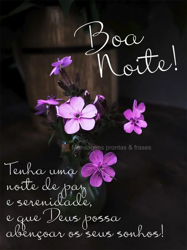 Tenha uma noite de paz e serenidade, e que Deus possa abençoar os seus sonhos! Boa noite!