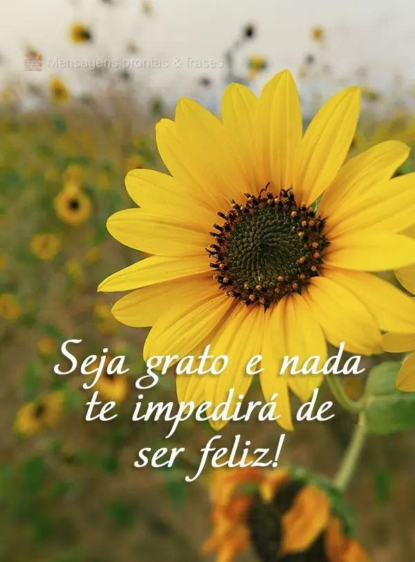 Seja grato e nada te impedirá de ser feliz!