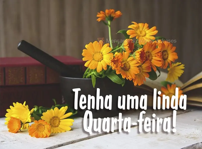 Tenha uma linda Quarta-feira!