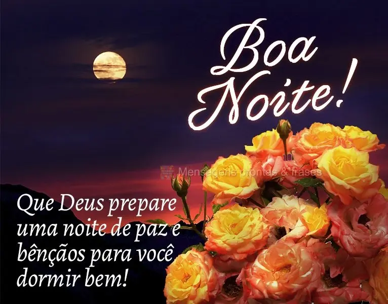 Que Deus prepare uma noite de paz e bênçãos para você dormir bem! Boa noite!