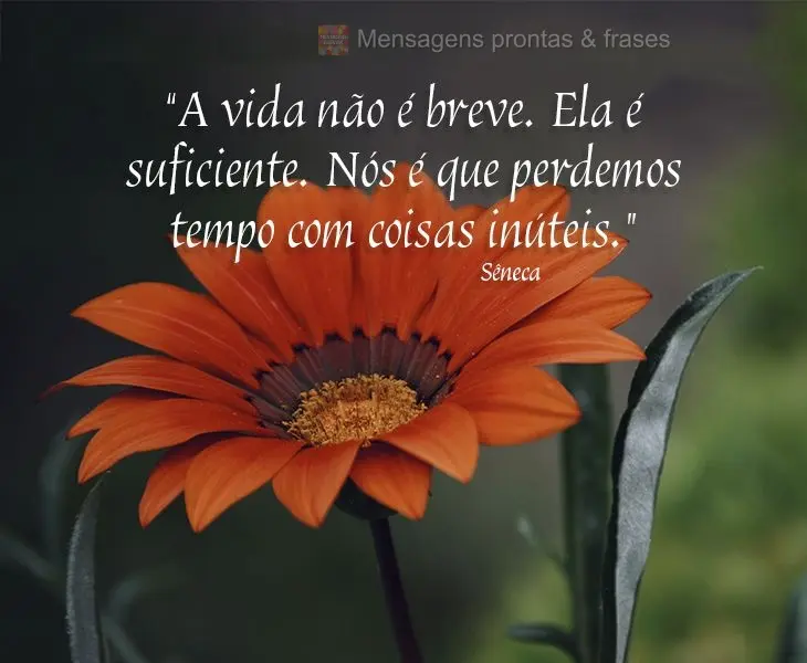 “A vida não é breve. Ela é suficiente. Nós é que perdemos tempo com coisas inúteis.” Sêneca