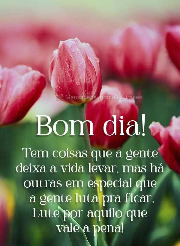 Tem coisas que a gente deixa a vida levar, mas há outras em especial que a gente luta pra ficar. Lute por aquilo que vale a pena! Bom dia! 