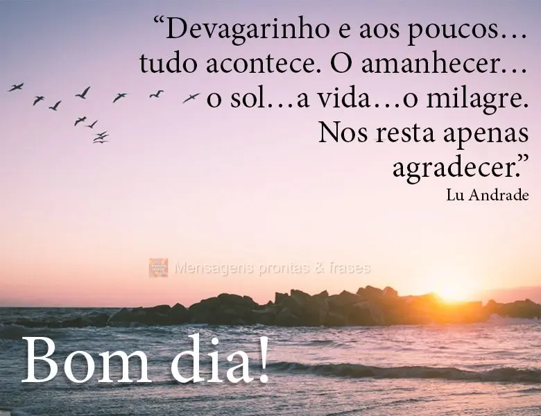 “Devagarinho e aos pouco tudo acontece. O amanhecer, o sol, a vida, o milagre. Nos resta apenas agradecer.” Bom dia! Lu Andrade