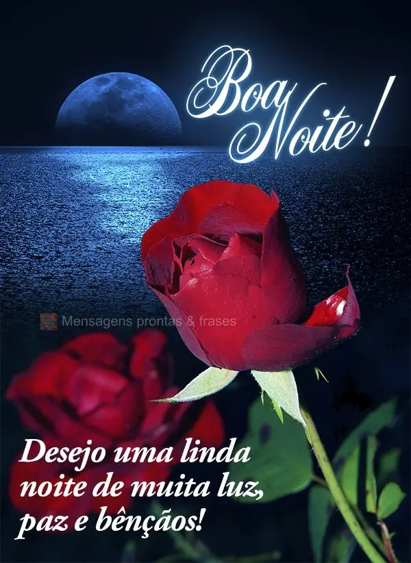 Desejo uma linda noite de muita luz, paz e bênçãos! Boa noite!