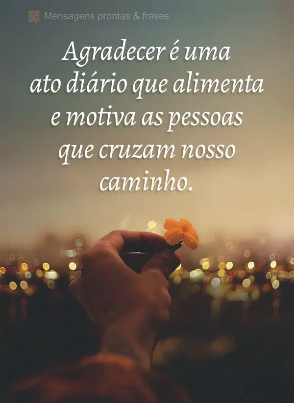 Agradecer é uma ato diário que alimenta e motiva as pessoas que cruzam nosso caminho.