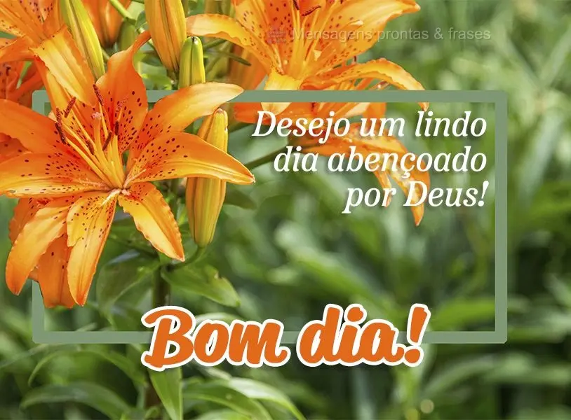 Desejo um lindo dia abençoado por Deus! Bom dia! 