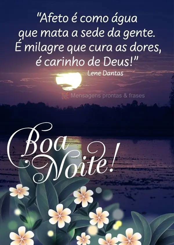 “Afeto é como água que mata a sede da gente. É milagre que cura as dores, é carinho de Deus!” Boa noite!  Lene Dantas