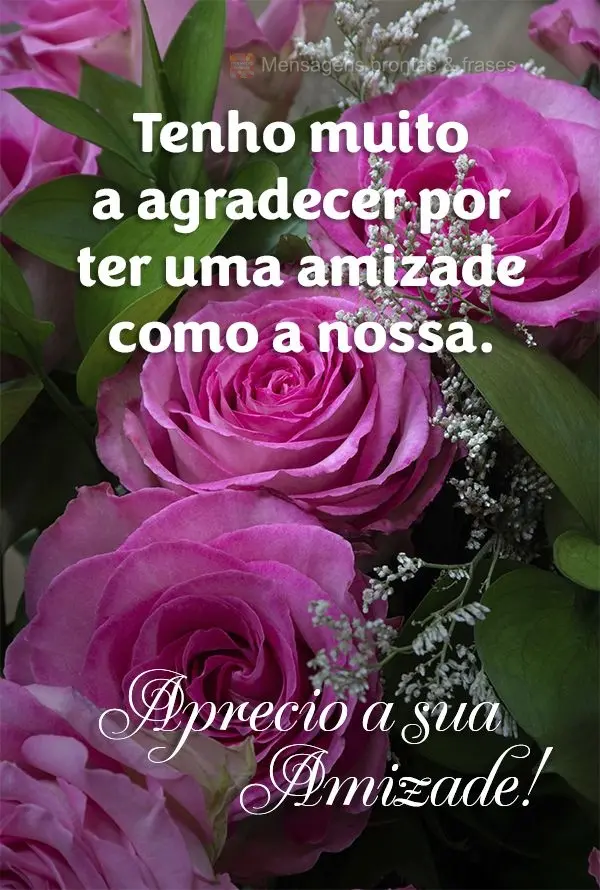 Tenho muito a agradecer por ter uma amizade como a nossa. Aprecio a sua amizade!