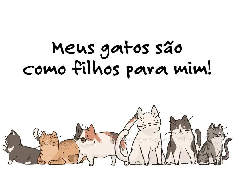 Meus gatos são como filhos para mim!