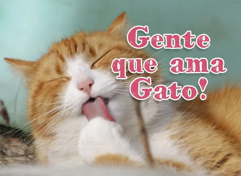 Gente que ama gato!