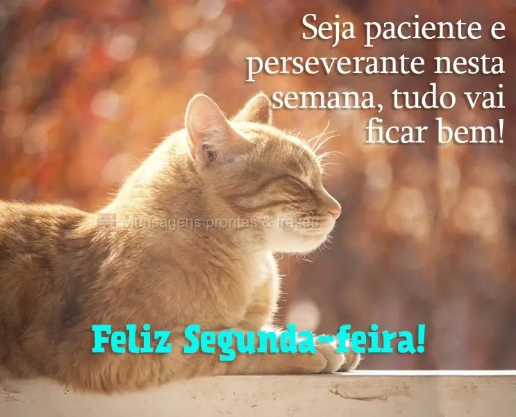 Seja paciente e perseverante nesta semana, tudo vai ficar bem! Feliz Segunda-feira!