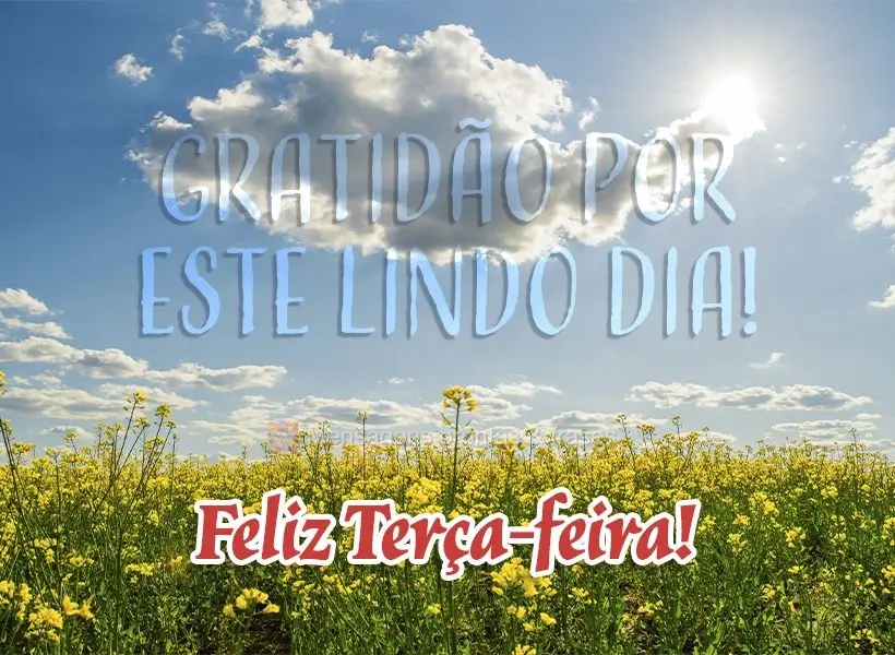 Gratidão por este lindo dia! Feliz Terça-feira!