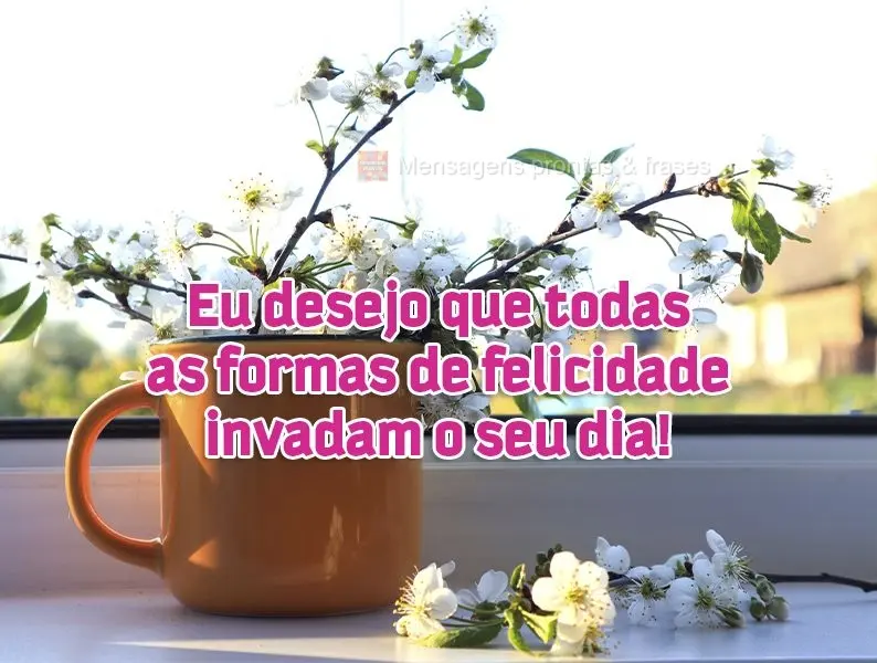 Eu desejo que todas as formas de felicidade invadam o seu dia!