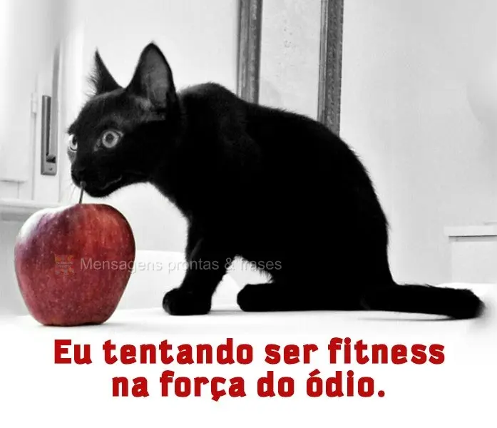 Eu tentando ser fitness na força do ódio.