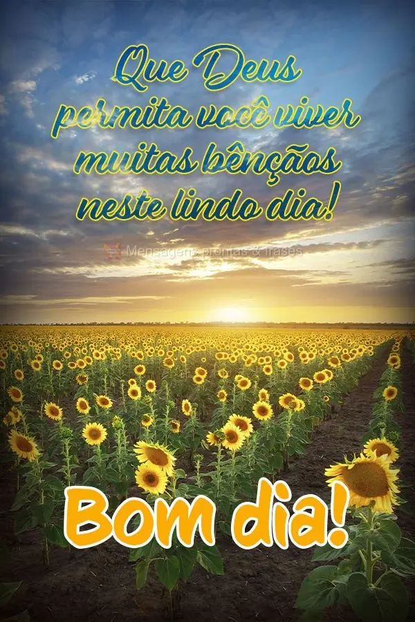 Que Deus permita você viver muitas bênçãos neste lindo dia! Bom dia!