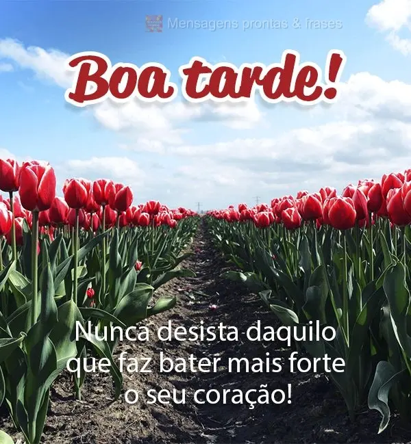 Nunca desista daquilo que faz bater mais forte o seu coração! Boa tarde! 