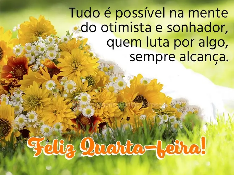 Tudo é possível na mente do otimista e sonhador. Quem luta por algo, sempre alcança! Feliz Quarta-feira!