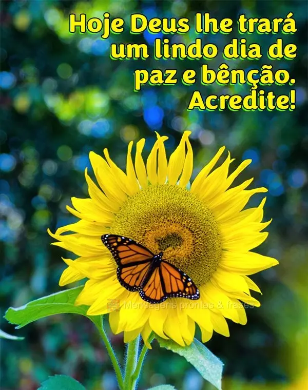 Hoje Deus lhe trará um lindo dia de paz e bênção. Acredite!