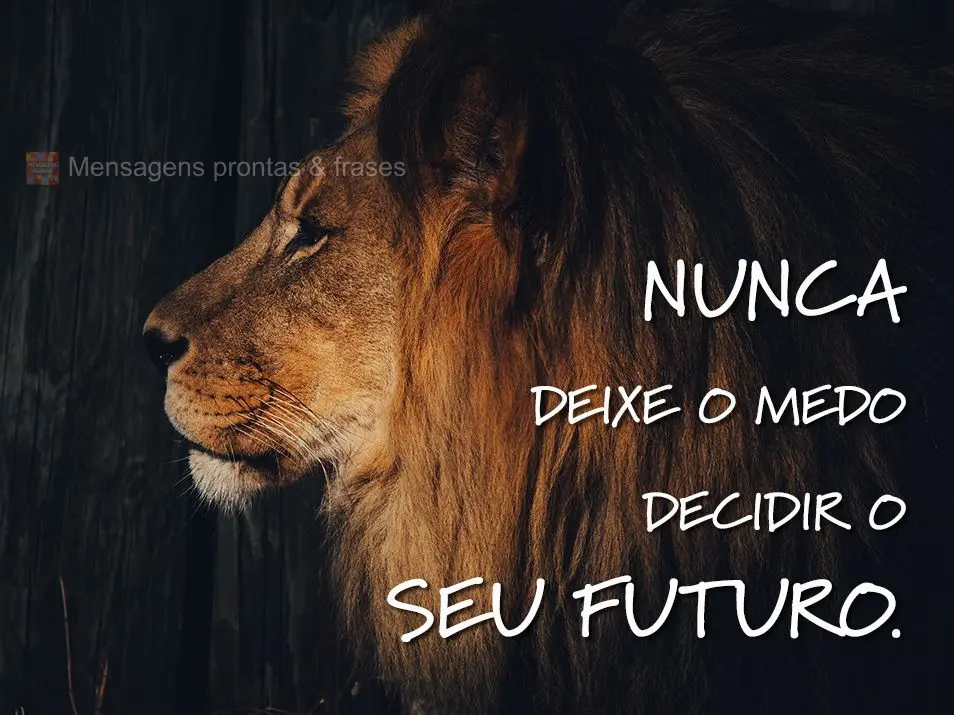 Nunca deixe o medo decidir o seu futuro.