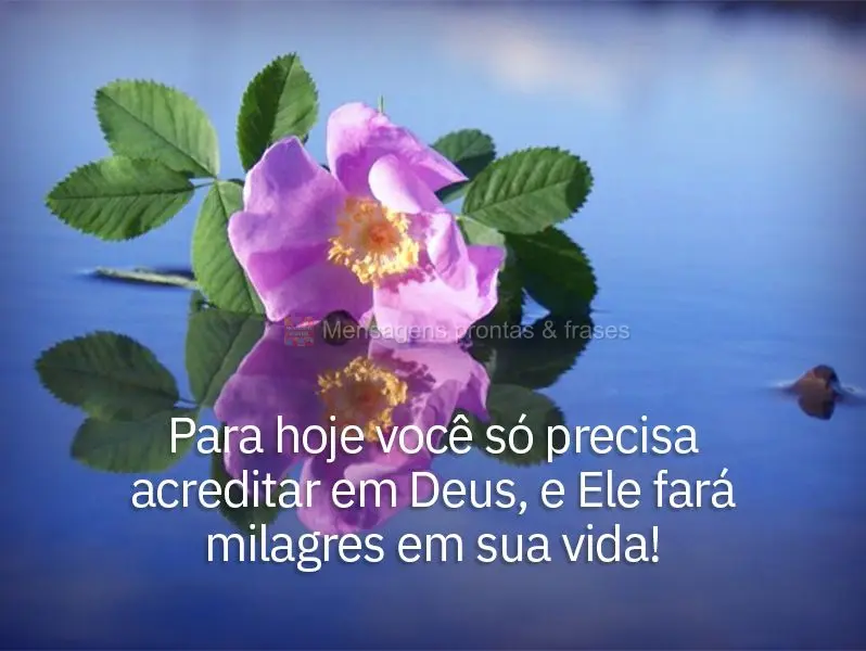 Para hoje você só precisa acreditar em Deus, e Ele fará milagres em sua vida!