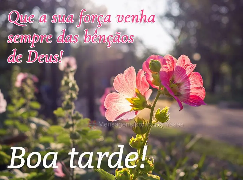 Que a sua força venha sempre das bênçãos de Deus! Boa tarde!