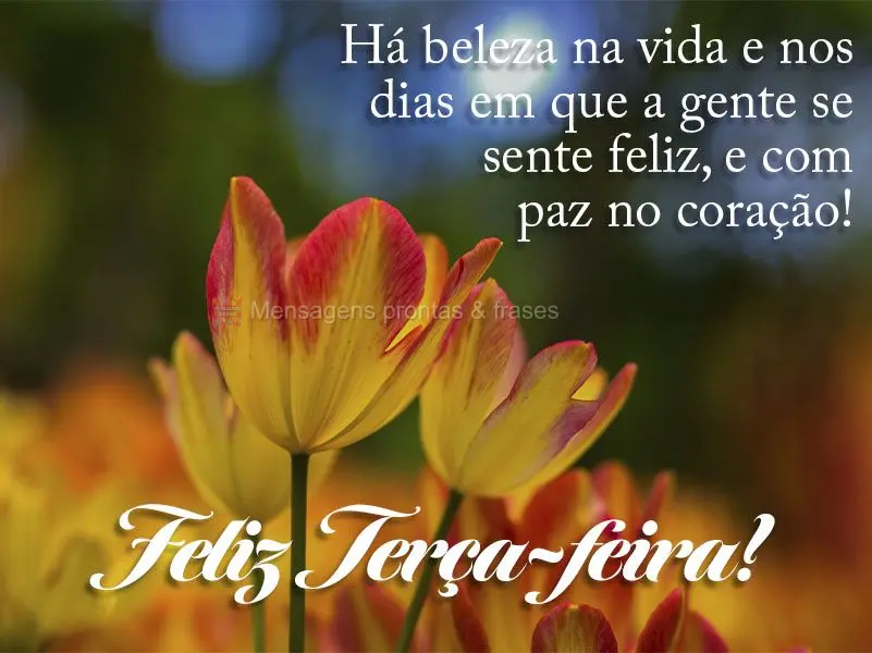 Há beleza na vida e nos dias em que a gente se sente feliz, e com paz no coração! Feliz Terça-feira!