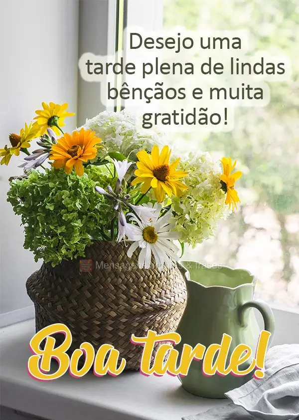 Desejo uma tarde plena de lindas bênçãos e muita gratidão! Boa tarde!