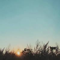 Acorde hoje pensando positivo, crendo que nada irá te abalar. Se você assim seguir sorrindo, não se dê por vencido nos momentos difíceis e continue ...