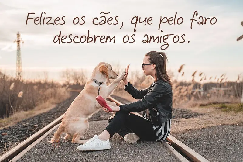 Felizes os cães, que pelo faro descobrem os amigos.