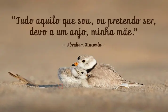 “Tudo aquilo que sou, ou pretendo ser, devo a um anjo, minha mãe.”  
 Abraham Linconln