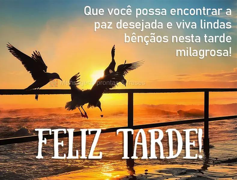 Que você possa encontrar a paz desejada e viva lindas bênçãos nesta tarde milagrosa! Feliz tarde!