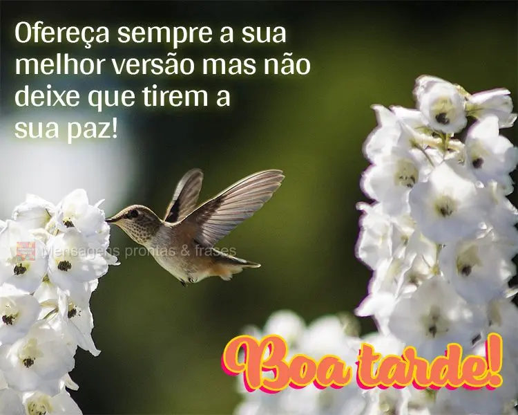 Ofereça sempre a sua melhor versão mas não deixe que tirem a sua paz! Boa tarde!