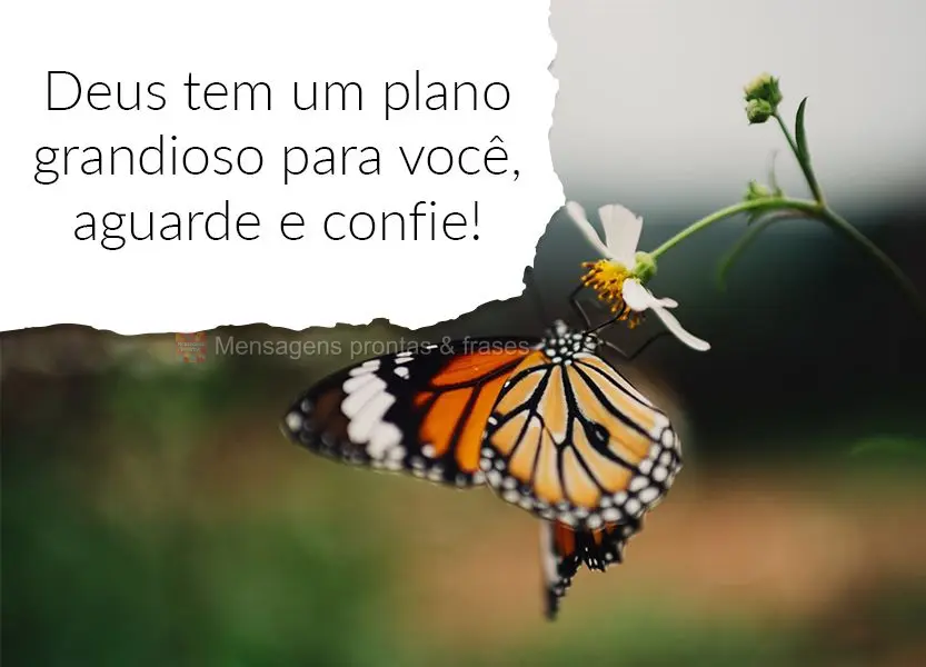 Deus tem um plano grandioso para você, aguarde e confie!