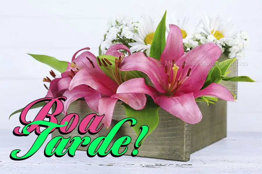 Boa tarde!