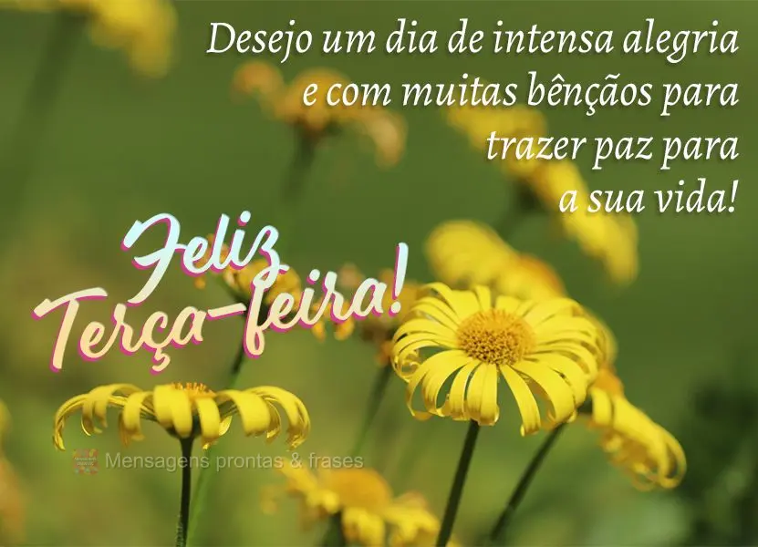 Desejo um dia de intensa alegria e com muitas bênçãos para trazer paz para a sua vida! Feliz Terça-feira!