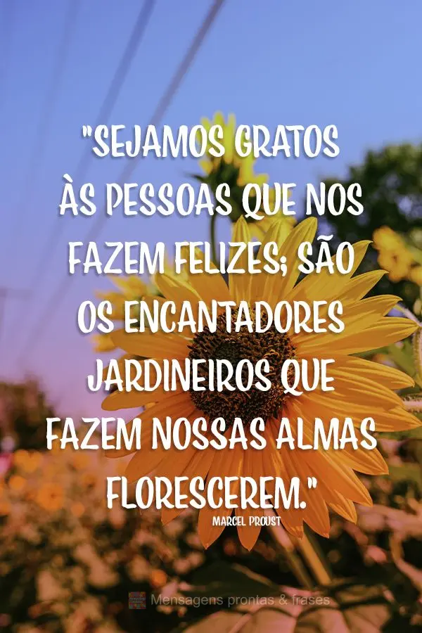 "Sejamos gratos às pessoas que nos fazem felizes; são os encantadores jardineiros que fazem nossas almas florescerem." Marcel Proust