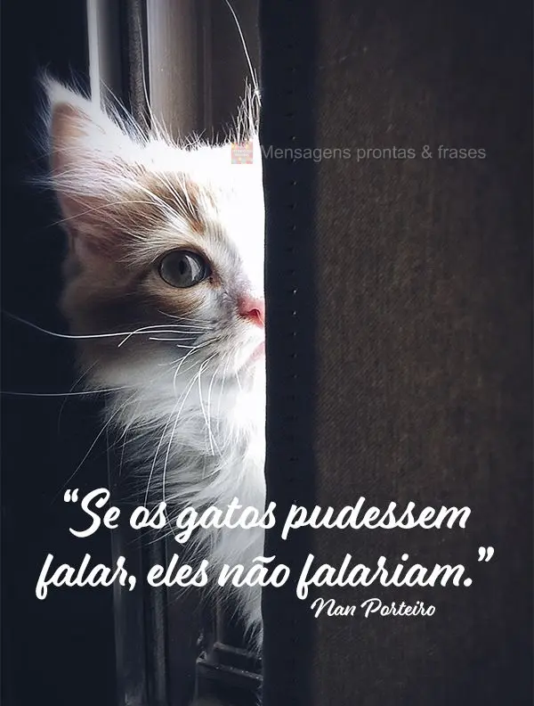 "Se os gatos pudessem falar, eles não falariam." Nan Porteiro