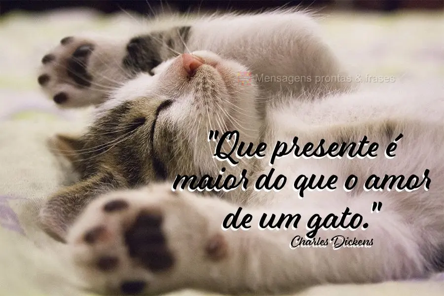 "Que presente é maior do que o amor de um gato?" Charles Dickens