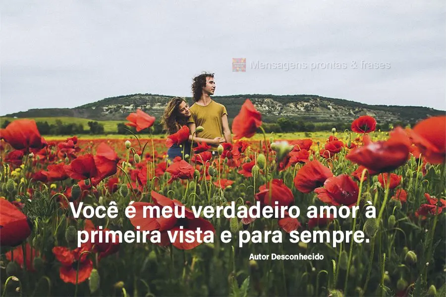 Você é meu verdadeiro amor à primeira vista e para sempre. Autor Desconhecido