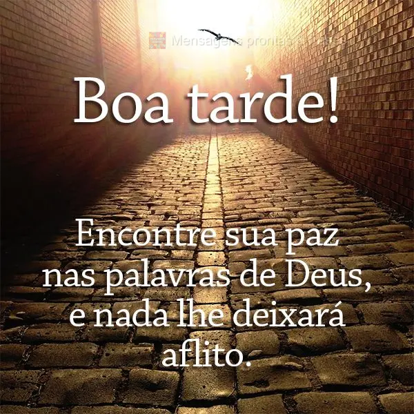 Encontre sua paz nas palavras de Deus, e nada lhe deixará aflito. Boa tarde!