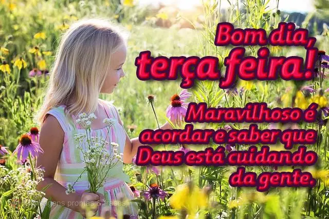  Maravilhoso é acordar e saber que Deus está cuidando da gente.
 Bom dia, terça-feira!