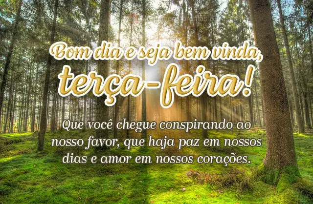 Que você chegue conspirando ao nosso favor, que haja paz em nossos dias e amor em nossos corações.
 Bom dia e seja bem-vinda, terça-feira! 